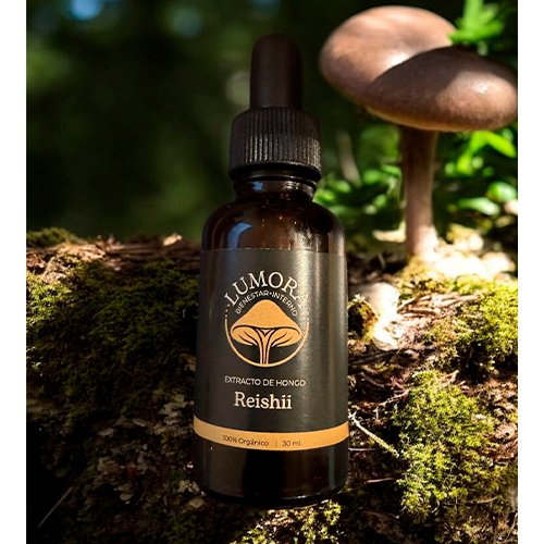 Hongo Reishi, beneficios