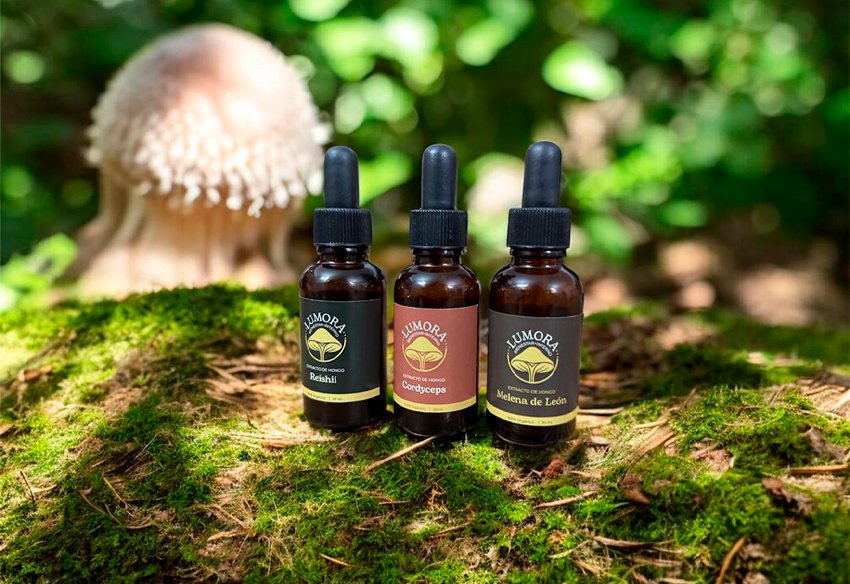 Extractos naturales de hongos