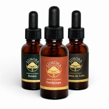 Kit Lumora, Melena de León, Reishi, Cordyceps