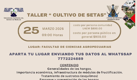 🍄✨ TALLER “CULTIVO DE SETAS” ✨🍄