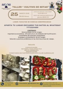 Cultivo de Setas