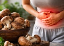 Shiitake: el hongo que transforma tu digestión de forma natural